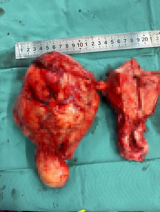 微信圖片_20231017091208