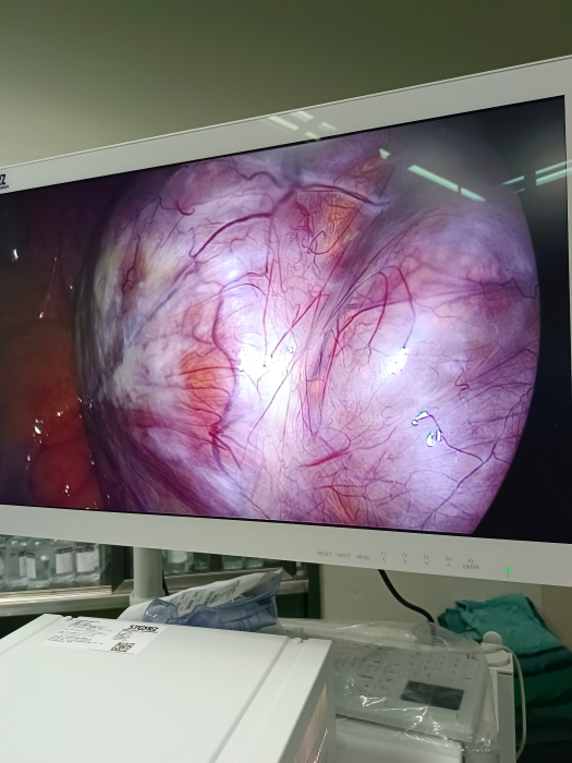 微信圖片編輯_20231101172224