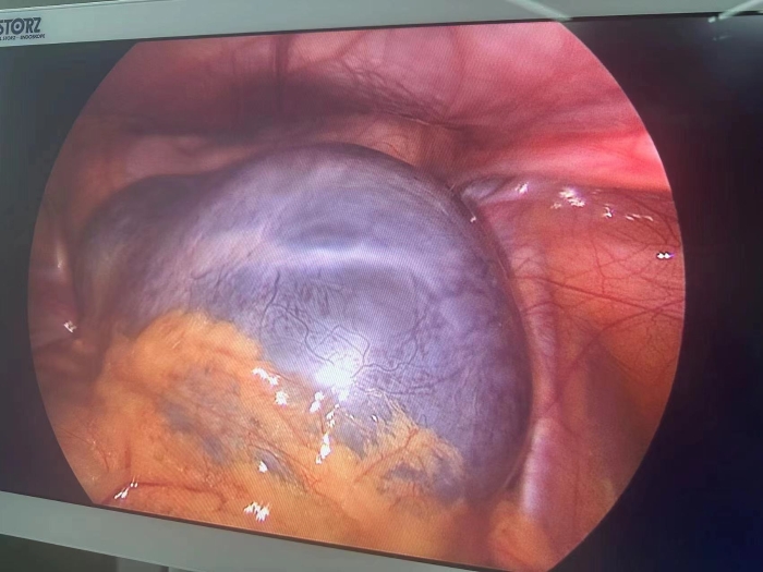 微信圖片_20231109161843