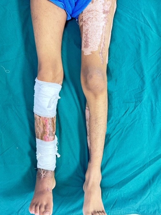 微信圖片_20240218113510 微信圖片_20240218113510