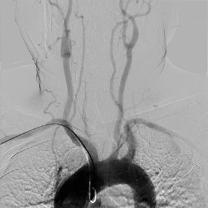 微信圖片_20240322161708